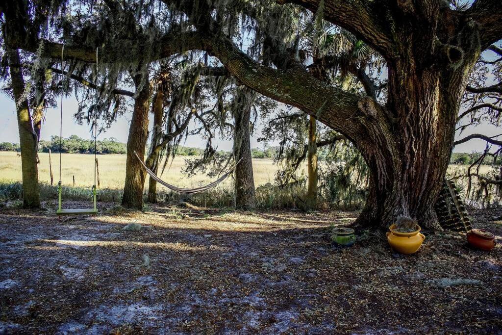 Secluded Tiny House By The Marsh With Hunting Island Beach Pass Frogmore Exterior photo